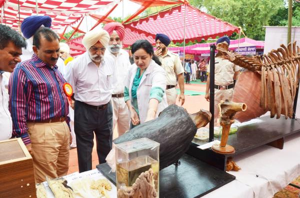 Dr. A. S.  Nanda, Vice Chancellor and other officers of the University visited the exhibit stalls on 2nd day of Pashu Palan Mela
